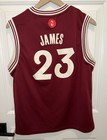 Youth Adidas 2015-2016 Cleveland Cavaliers Christmas Lebron James Jersey L 14 16
