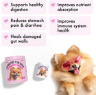 Probiotics For Dogs Natural Digestive Enzymes Prebiotics For Allergy Itch Relief