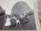 Four  small Girls  Trick Photography Stereoview C1897 Underwood Children Play  1