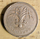 Great Britain 1985 1 Pound Coin  h134  Queen Elizabeth Ii  Welsh Leek