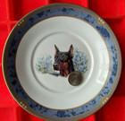  Doberman Pinscher Dobe Spode Fine Bone China Y8598-v Dauphin 6   