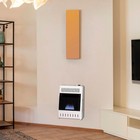 Heating Liquid Propane Ventless Blue Flame Heater With Base Feet 10 000 Btu T St