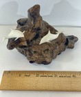 Double Dolphins On Burl Wood Base Sculpture Vintage