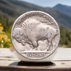 1936-p Buffalo Nickel    full Date    Fast Free Shipping