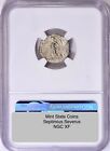 Septimius Severus Ancient Roman Silver 193-211 Ad Denarius Ngc Xf Coliseum Hoard