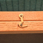 Wood Display Case   Brass Hinged W Glass Cover   Preowned   Lined   Very Nice