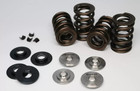 Ferrea 80lbs Dual Valve Springs   Ti Retainers Honda B18c B16a1 B16a3 Kt4001