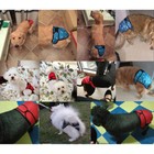 1pc Pet Female Dog Puppy Diaper Pants Nappy Physiological Sanitary Soft  Cotton