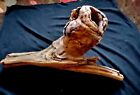 Beach Wood Pine Knot With Large Hole Driftwood Diy Woodworking