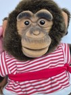 Vintage Child s Play Life-like Chimpanzee Monkey Puppet Pirate Costume Rare