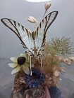 Vintage Taxidermy Butterfly   Flowers Glass Dome 12 