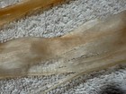 18-20 Inch Whitetail Deer Back Sinew  Also Called Backstrap Or Sinue