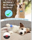 No Shock Dog Training Collar  Vibrating Dog Collar With Remote 2800ft