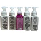 Bath   Body Works Fresh   Fruity 5-pack Gentle Foaming Hand Soap 8 75 Fl Oz Each
