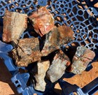       rr        7 Pcs Top Quality Arizona Rainbow Petrified Wood 3 25 Lb     