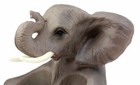 Elephant Salt And Pepper Set Salt   Pepper Shaker Holder 7  Tall Pachyderm