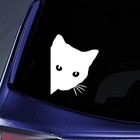 Black Peeking Cat For Car Bumper Window Wall Vinyl Decal Sticker Free Shipping 
