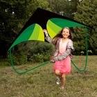 55  Delta Kite Large Kites For Kids And Adults Beginners Easy To Fly Single Line