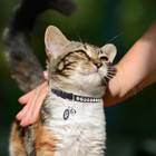 Leather Personalized Breakaway Cat Collar With Studded Bell And Safety Quick Rel