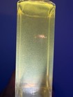 16 Oz   Buy Two Get One Free   Mixed Live Copepods    Three Pod Species 