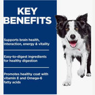 Hill s Science Diet Adult 7  Senior Vitality Chicken Recipe Dry Dog Food 21 5 Lb