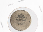 1839 Liberty Seated Half Dime Silver Coin