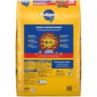 Pedigree High Protein Grilled Steak   Vegetable Flavor Adult Dry Dog Food  14 Lb