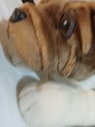 Large Plush Dog Preowned Excellent  Condition 