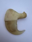 424- Claw  Fox   s Claw  Coyote   s Claw