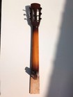 Neck   Tuners   Fretboard Vintage 40s 24  Scale Project Parlor 12-fret Dovetail