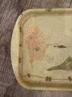 Vintage Rexilite Eubanks Fiberglass 8  X 14  Serving Tray Seahorses Coral Shell