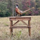Taxidermy Full Body Standing Ring-necked Rooster Pheasant Mount Cabin Decor
