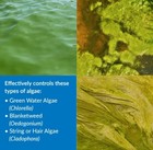 Api Pondcare Algaefix 1 Gallon Pond Algae Control 169c