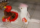 Ty Beanie Babies Lot Of 2 Retired  birds 