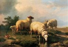 Old Master-art Antique Oil Painting Animal Portrait Sheep On Canvas 24 x30 
