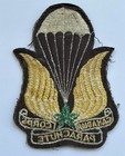 Original Ww2 Canadian Parachute Corps Blazer Patch