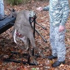 Viking L-e-vator Portable Deer Lifting For Truck Or Atv 40  Game Lift