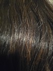 Horse Fake Tail