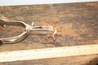 Children s Western Spur With Leather Straps 2 5  Wide 2 5  Deep Horse Riding