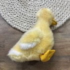 Dakin Yellow Duckling Plush 8  Vintage  Stuffed Animal 1986