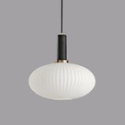 Modern Pendant Lights  Black Lamp Holder Pendant Light Socket White Glass Pen   