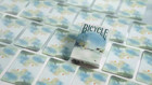 Bicycle Seasons  spring Edition  Playing Cards