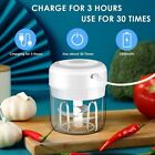 Mini Food Processor Rechargeable 250ml 100ml Cups  Garlic Chopper  Meat Grinder
