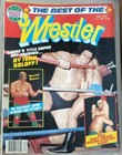 Lot Of 14 Vintage The Best Of The Wrestler Magazines Wwf Nwa Andre Hogan Flair