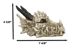 Ebros Jurassic Beowulf Elder Dragon Head Skull Realistic Fossil Statue 7 75  L