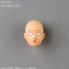 Psl Revoltech Amazing Yamaguchi One Punch Man Saitama Limited W bonus Parts Jp