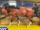 Breyer Raia