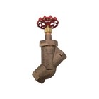 2  United Brass Works Bronze Globe Valve  Y-body  Fnpt  200 Psi  285950