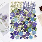 100 Pcs Real Dried Pressed Flowers Leaves Natural Plant Herbarium Blue-100pcs