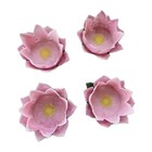 Vintage Mcm Set 4 Styson Lotus Flower 1960 Pink Plastic Flower Desert Coasters 
